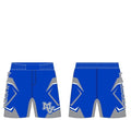 MV Fight Shorts - Blue & Silver